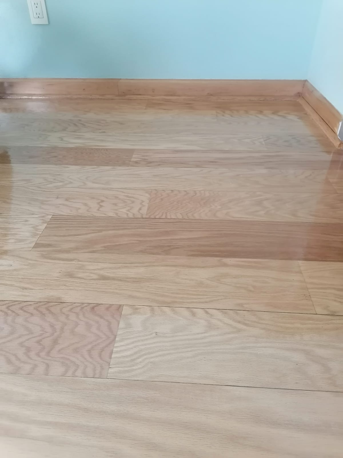 Madera 1