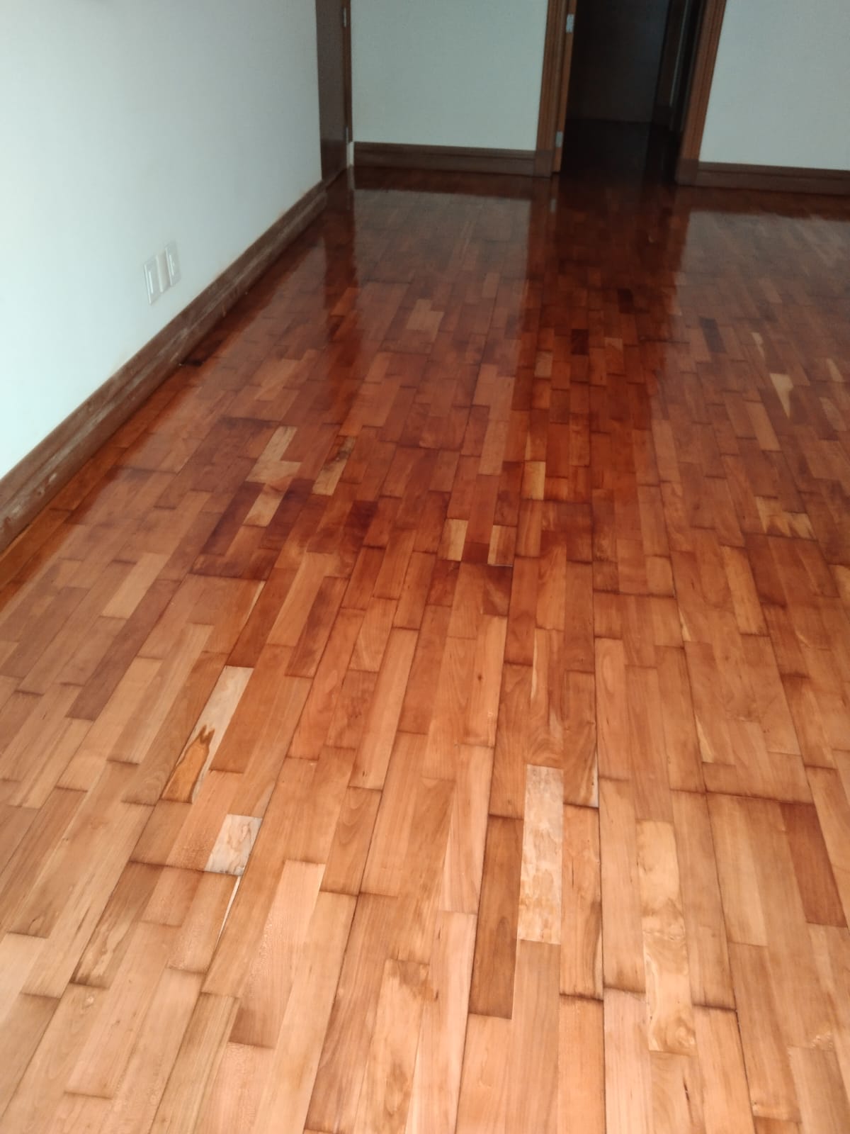 Madera 6