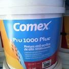 Pintura